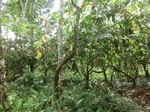 51023CIMG4326.JPG
