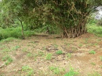 45779CIMG2864.JPG