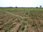 18924P1000768.JPG