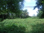 26222RIMG0189.JPG
