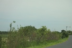 2024-08-05_14-55-47_D135C929-5D22-40A4-94E2-A9CBAB374CD9.jpeg