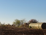 26459DSC00595.JPG