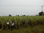 12257GT078_Guinee_corn.JPG