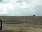 24749DSC00914.JPG