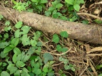 45271CIMG2356.JPG