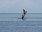 15485IMG_4555.JPG