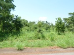 19572P1010419.JPG
