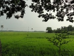 24664DSC00888.JPG