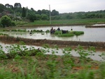 53969CIMG4630.JPG