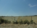 34992DSC01894.JPG
