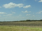 35226DSC02431.JPG
