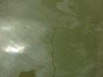 58307CIMG2755.JPG
