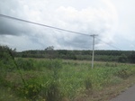 26711IMG_3473.JPG