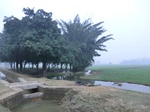 40140CIMG9206.JPG