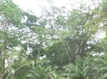 47888CIMG4225.JPG