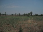 28129IMG_4948.JPG