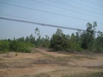 27806IMG_4690.JPG