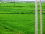 55890CIMG6586.JPG