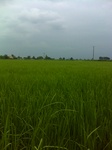34352DSC00166.JPG