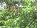 48707CIMG5044.JPG