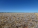 42610P1000715.jpg