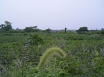 826R0015380.jpg