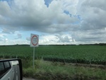 24823DSC00992.JPG