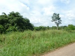 25758P1020177.JPG