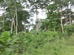 49828CIMG6165.JPG