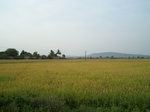 17365100_2051.JPG