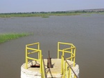 56381CIMG7934.JPG