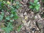 46869DSC02216.JPG
