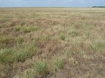 39311ELRE20110815GPS.JPG