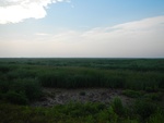 54302DSCN1575.JPG