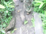 48736CIMG5073.JPG
