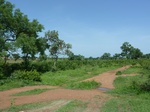 19498P1010345.JPG