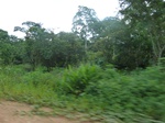 20638P1020495.JPG