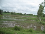 33285IMG_5615.JPG