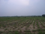 28249RIMG0249.JPG