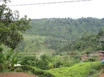 13677IMG_3938.JPG