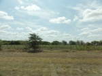 35597DSC02099.JPG