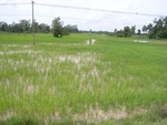 33439RIMG0179.JPG