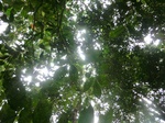 45718CIMG2803.JPG