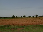 19010P1000854.JPG