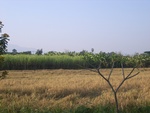 26500RIMG0382.JPG