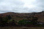 28365P1010376-1.JPG