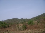 3801RIMG0105.JPG