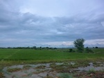 55970CIMG6649.JPG