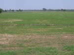 34642RIMG0109.JPG