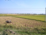 442620071010gps 114.jpg